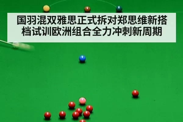 国羽混双雅思正式拆对郑思维新搭档试训欧洲组合全力冲刺新周期